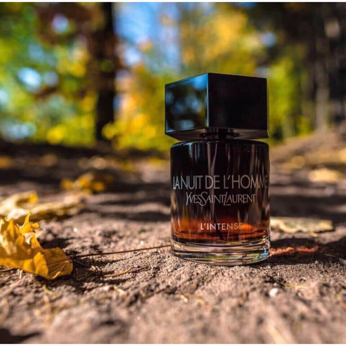 Yves Saint Laurent YSL La Nuit de L&
