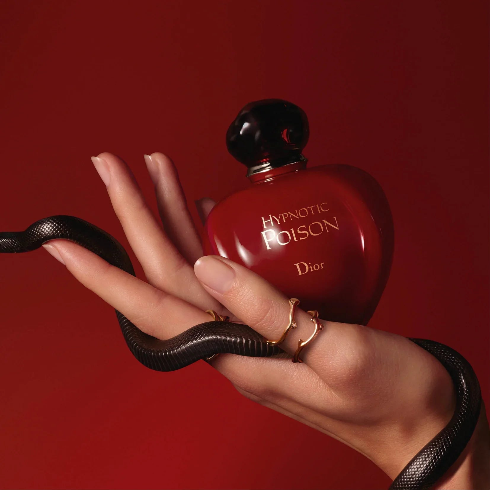 DIOR Hypnotic Poison Eau De Toilette(100ml)
