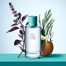 Tiffany Love Eau De Parfum Spray for Women (90ml)
