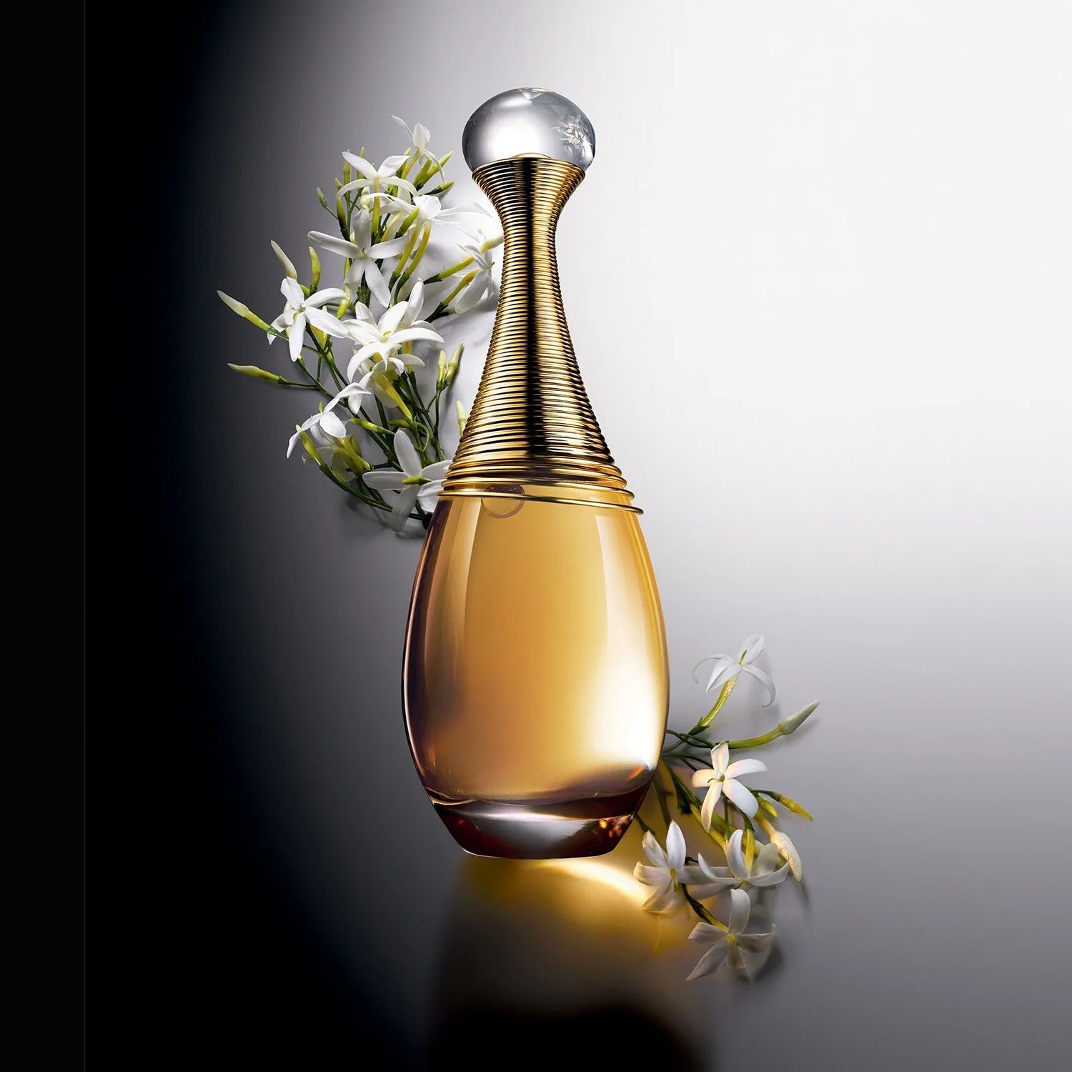 Christian Dior J&
