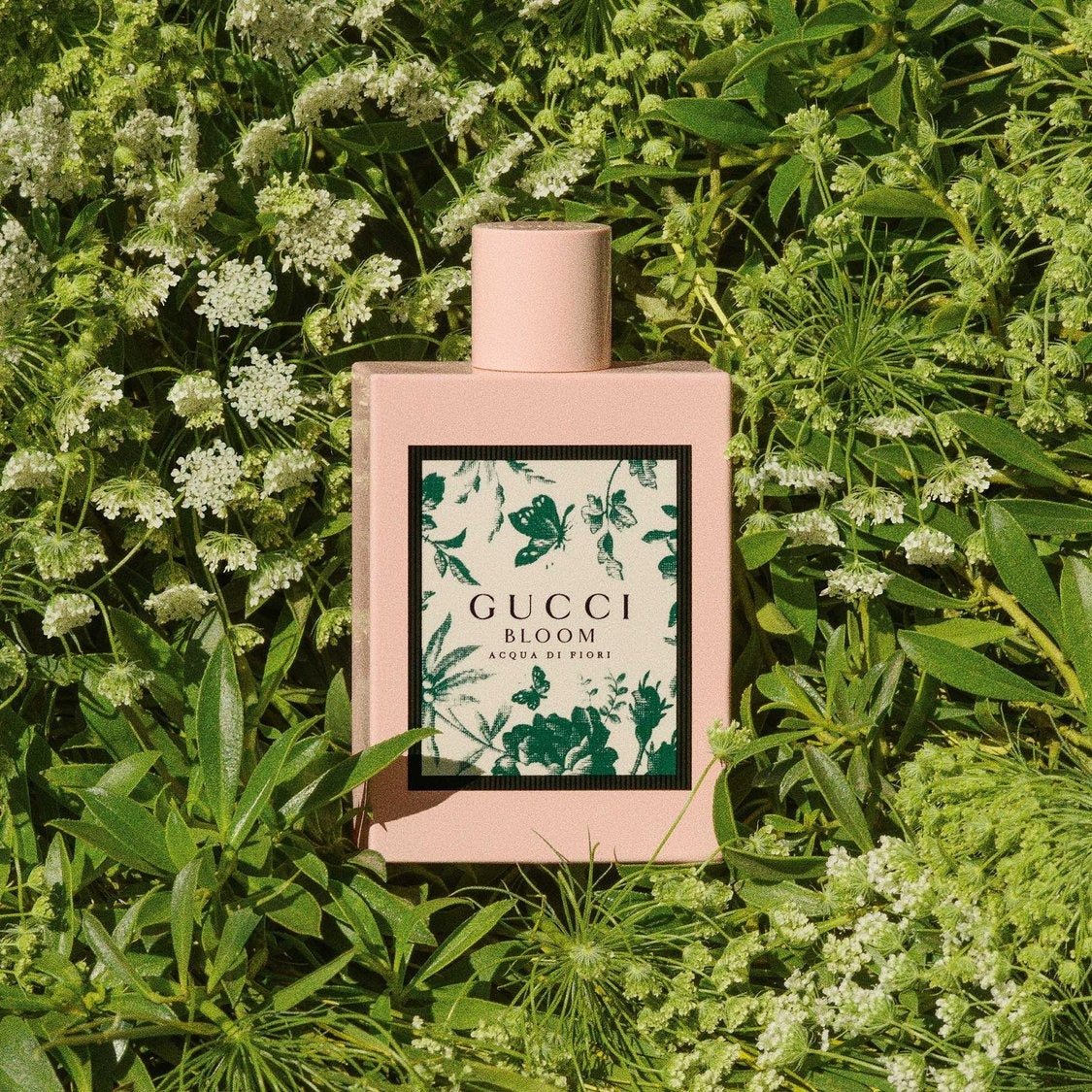 Gucci Bloom Acqua di Fiori Eau de Toilette (50ml)