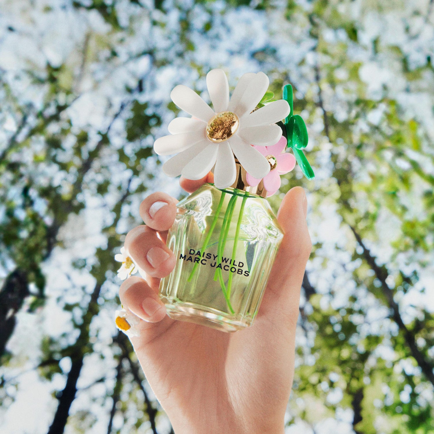 Marc Jacobs Daisy Eau So Fresh Spring Eau de Toilette (75ml)