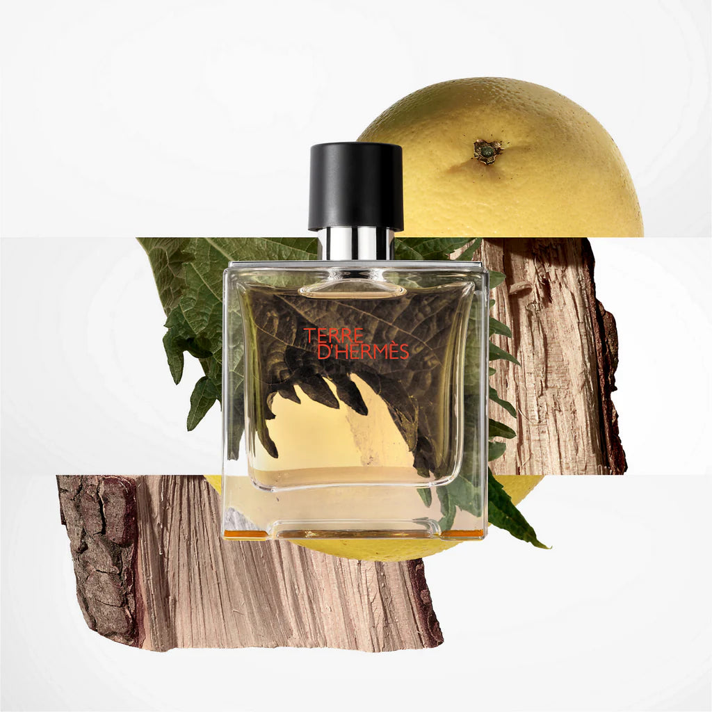 Hermès Terre d&
