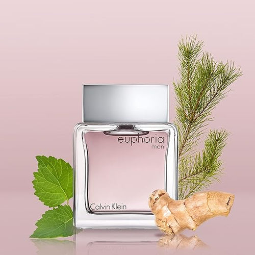 Calvin Klein Euphoria EDT Spray for Men (100ml)