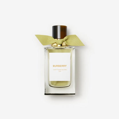 Burberry Signatures Hawthorn Bloom  12% eau de Parfum (100ML)