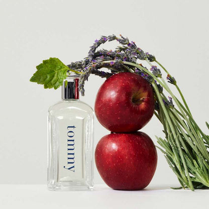 Tommy Hilfiger For Men Eau de Toilette (100ml)