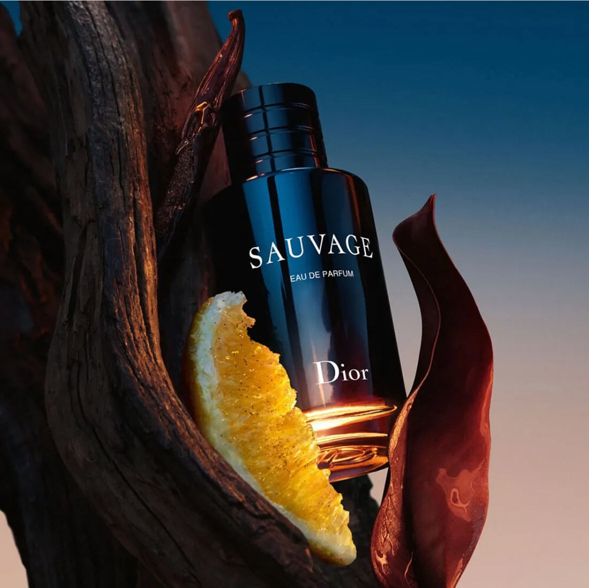 Christian Dior Sauvage Eau De Parfum (200ml)