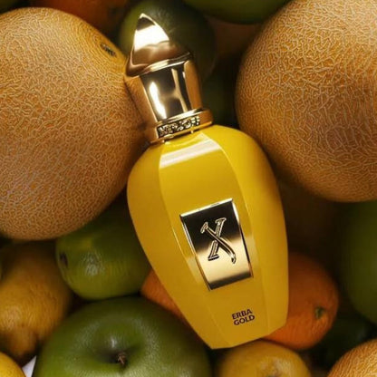 Xerjoff Erba Gold Eau De Parfum For Unisex(100ml)