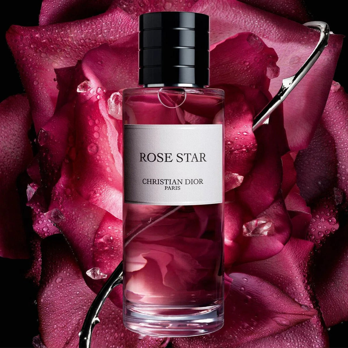 La Collection Privée Christian Dior Rose Star (250ml)