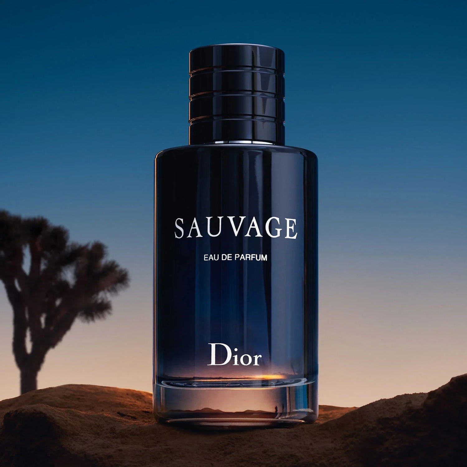 Christian Dior Sauvage Eau De Parfum (60ml)