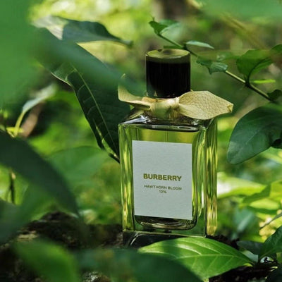 Burberry Signatures Hawthorn Bloom  12% eau de Parfum (100ML)