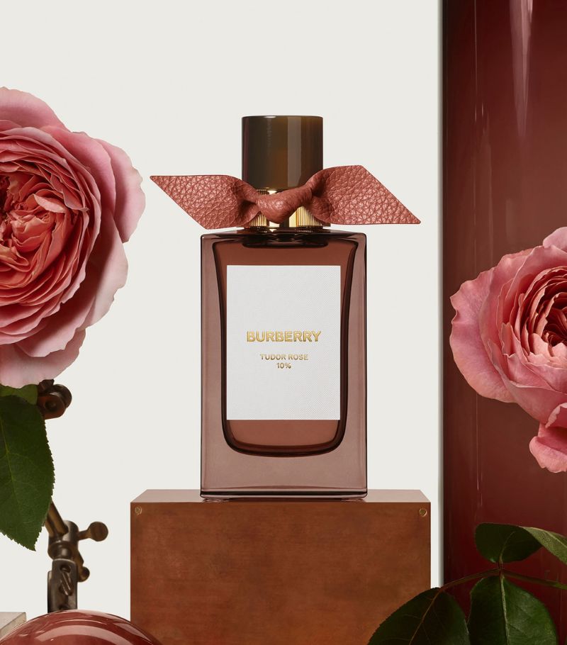 BURBERRY COLLECTION TUDOR ROSE 10% EDP (100ML)