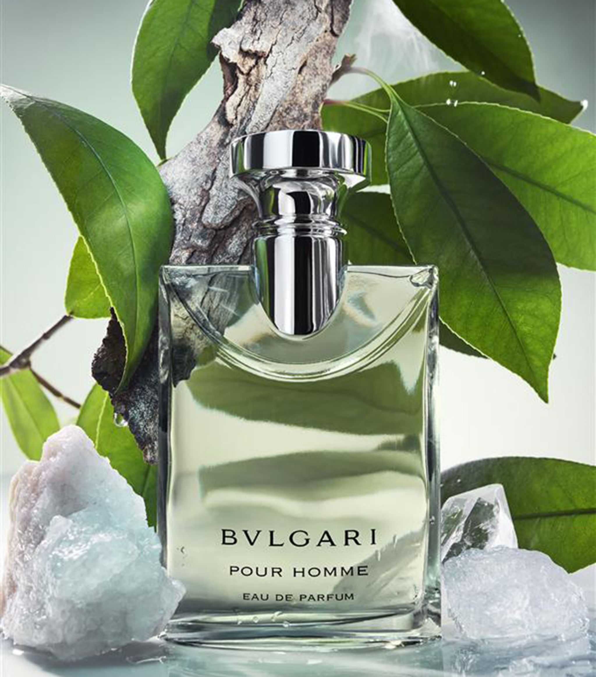 Bvlgari Pour Homme EDT Perfume (100ml)