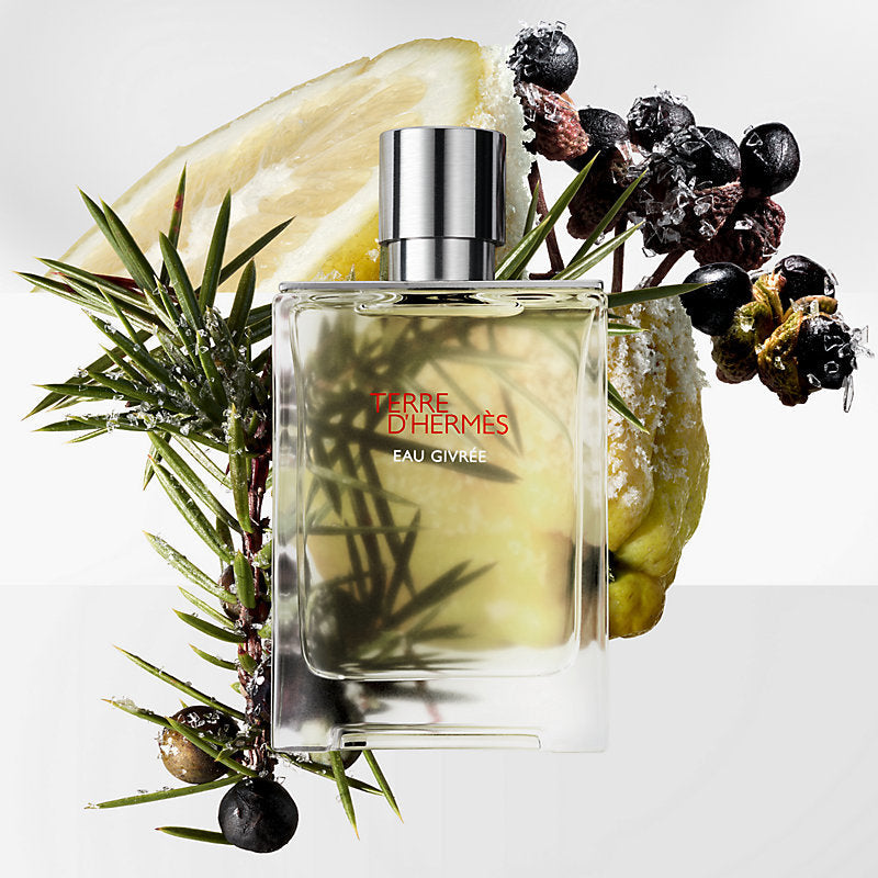 Hermes Terre D&